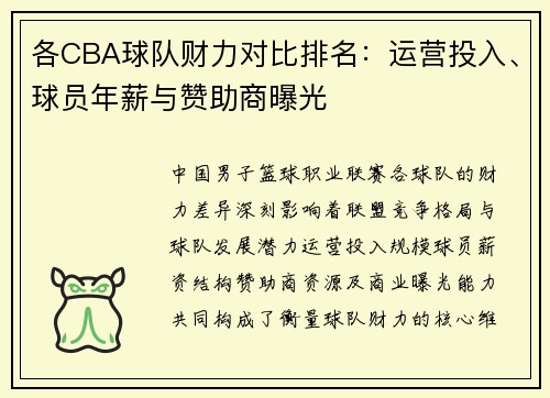 各CBA球队财力对比排名：运营投入、球员年薪与赞助商曝光